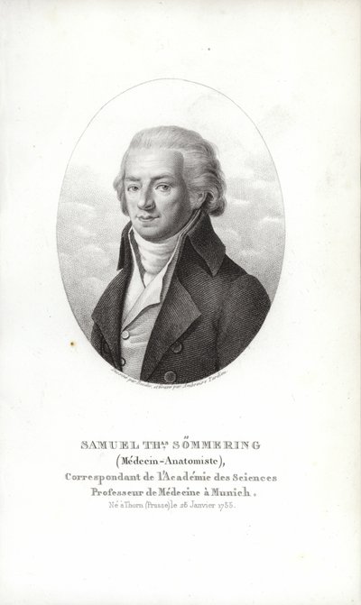 Samuel Thomas von Sömmerring - German School