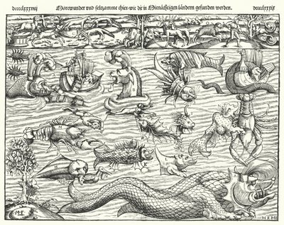 Créatures marines - German School