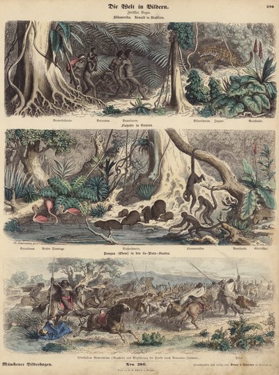 Amérique du Sud : jungle au Brésil ; rive en Guyane ; Indiens surprenant des Gauchos dans les Pampas et s
