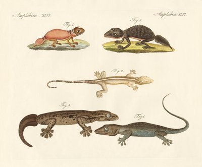 Dinosaures étranges - German School