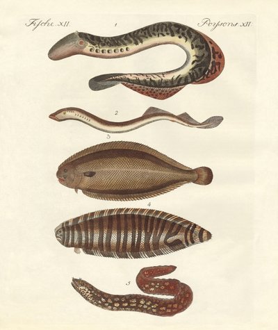 Poissons savoureux - German School