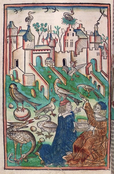 Les Oiseaux et Créatures de l
