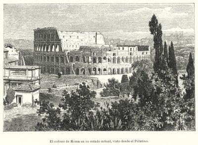 Le Colisée, Rome, vu depuis le mont Palatin - German School