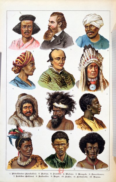 Les Différentes Races Humaines, de l