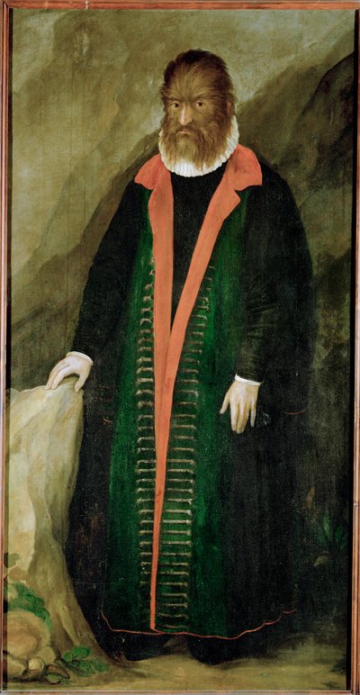 Le poilu, Petrus Gonzalvus, né en 1556 à Teneriffa ... - German School