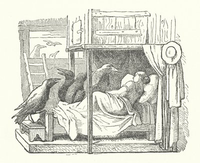 Les sept corbeaux (gravure) - German School