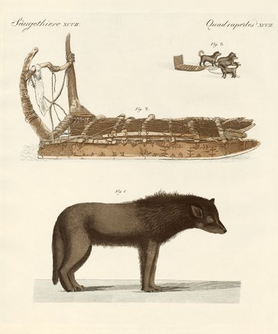 Le chien de la baie de Baffin - German School