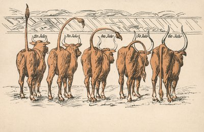 Les effets du vieillissement (lithographie couleur) - German School