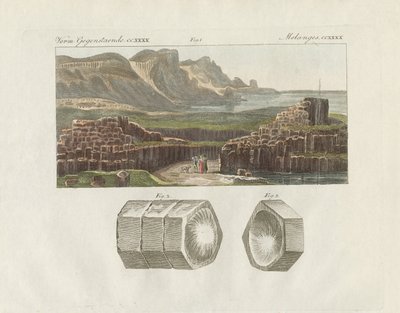 La route géante ou la rue géante - German School