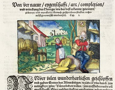 Les usages thérapeutiques et médicinaux du miel, illustration d