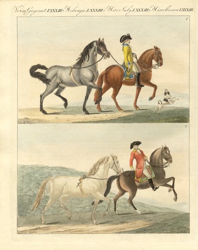 Le cheval avec ses différentes sortes - German School