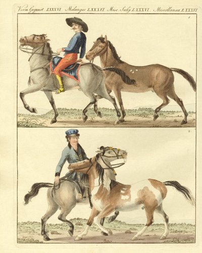 Le cheval avec ses différentes sortes - German School