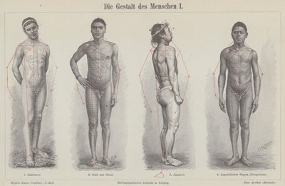 La figure humaine (gravure) - German School