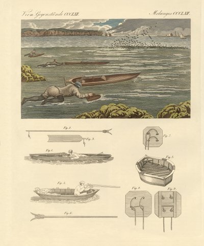 La chasse aux oiseaux aquatiques sur les côtes d