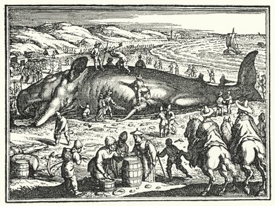 La baleine d