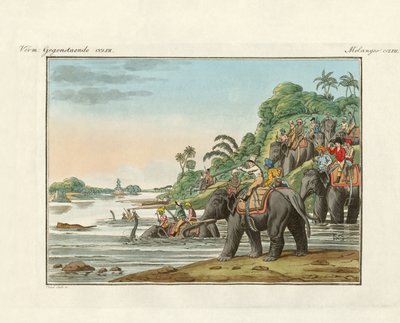 Chasse au tigre sur une rivière indienne - German School