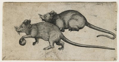 Deux souris, 1450-80 - German School