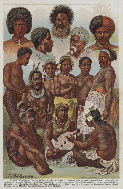 Types de races australiennes - German School