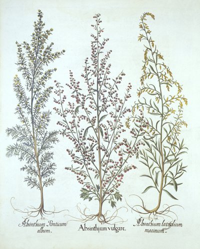 Variations d