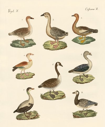 Divers types d