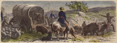 Convoi de chariots en Afrique du Sud - German School