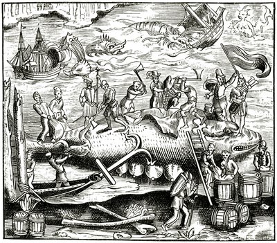 Pêche à la baleine, d
