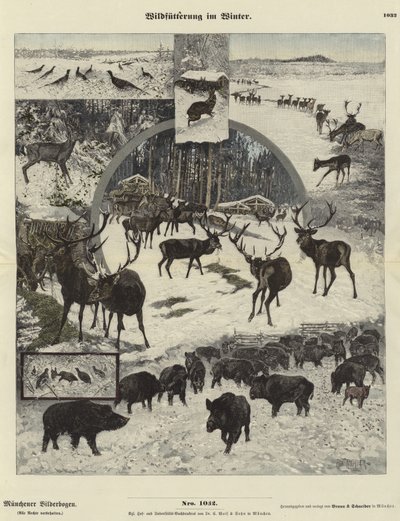 Nourrir la faune en hiver - German School