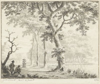 Arbres au bord de l
