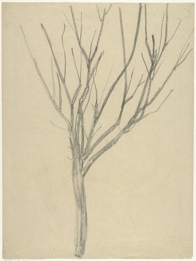 Arbre nu - Gerrit Willem Dijsselhof