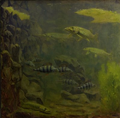 Brochet et perche dans un aquarium - Gerrit Willem Dijsselhof