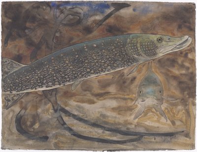 Deux brochets dans un aquarium, vus de côté et de face - Gerrit Willem Dijsselhof