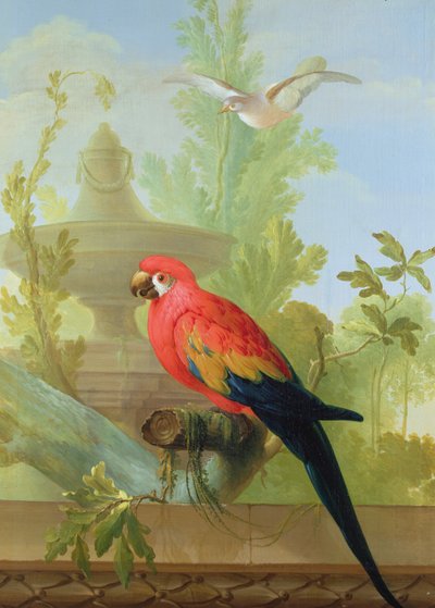 Un Ara et une Colombe dans un jardin ornemental, 1772 - Gerrit van den Heuvel