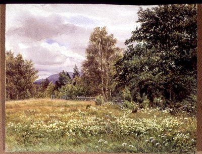 Reine-des-prés près de Polchar, Aviemore, Écosse - Gertrude Martineau