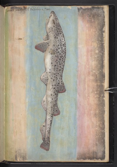 Poisson, de 
