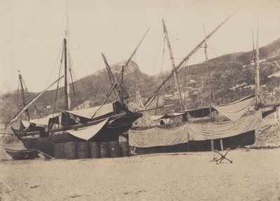 Salerne,1855 (photo) - Giacomo Caneva