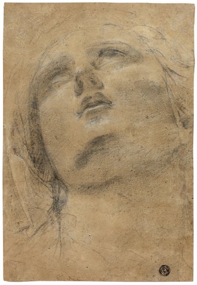 Tête de la Vierge regardant vers le haut - Giacomo Cavedone