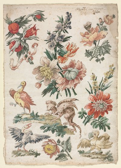 Motifs floraux avec des oiseaux et un griffon - Giacomo Cavenezia