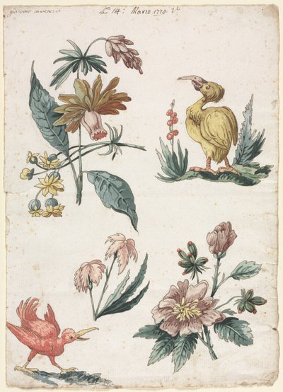 Motifs floraux avec deux oiseaux - Giacomo Cavenezia