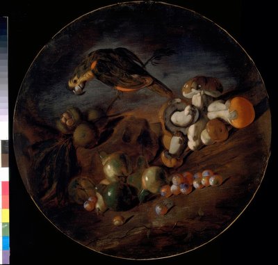 Nature morte avec champignons, fruits et perroquet - Giacomo Fardella de Calvello