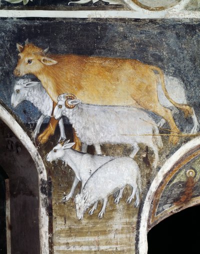 Animaux d