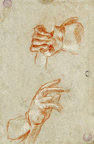 Étude de mains - Giambattista Tiepolo