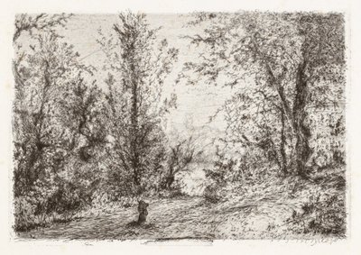 Forêt sur le Lac Majeur - Giberto Borromeo