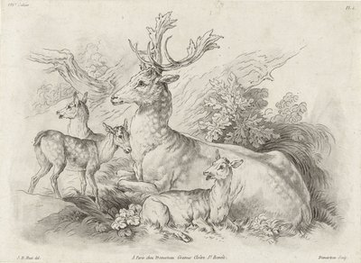 Cerfs au repos - Gilles Demarteau