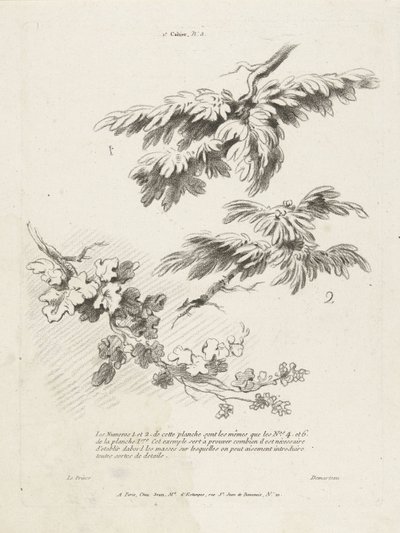 Étude de trois branches avec des feuilles (1er Cahier de paysage) - Gilles Demarteau