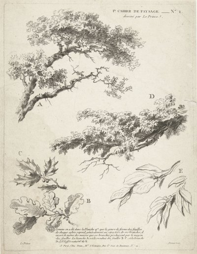 Étude de branches avec feuilles (1er Cahier de paysage) - Gilles Demarteau