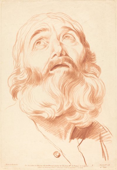 Tête d