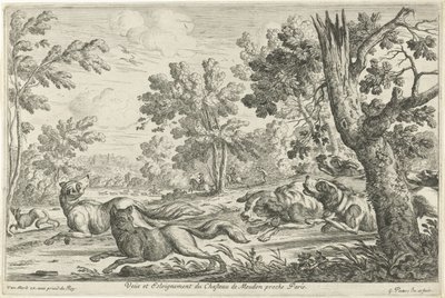 Chasse au renard - Gillis Peeters (I)