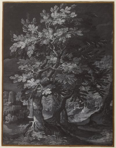 Scène de forêt - Gillis van Coninxloo