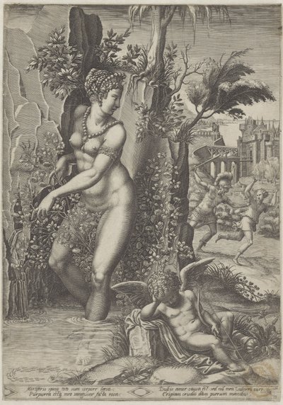 Vénus et la rose - Giorgio Ghisi