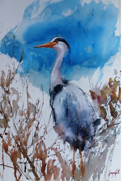 Aquarelle « Blue Heron » - Giorgio Gosti